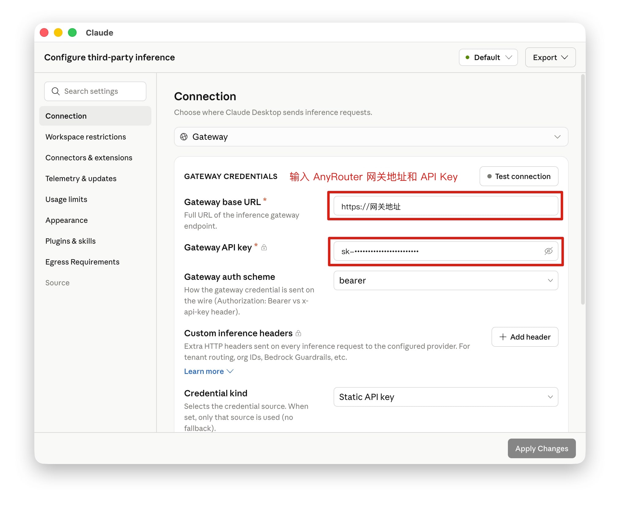 Enter the AnyRouter API base URL and API Key