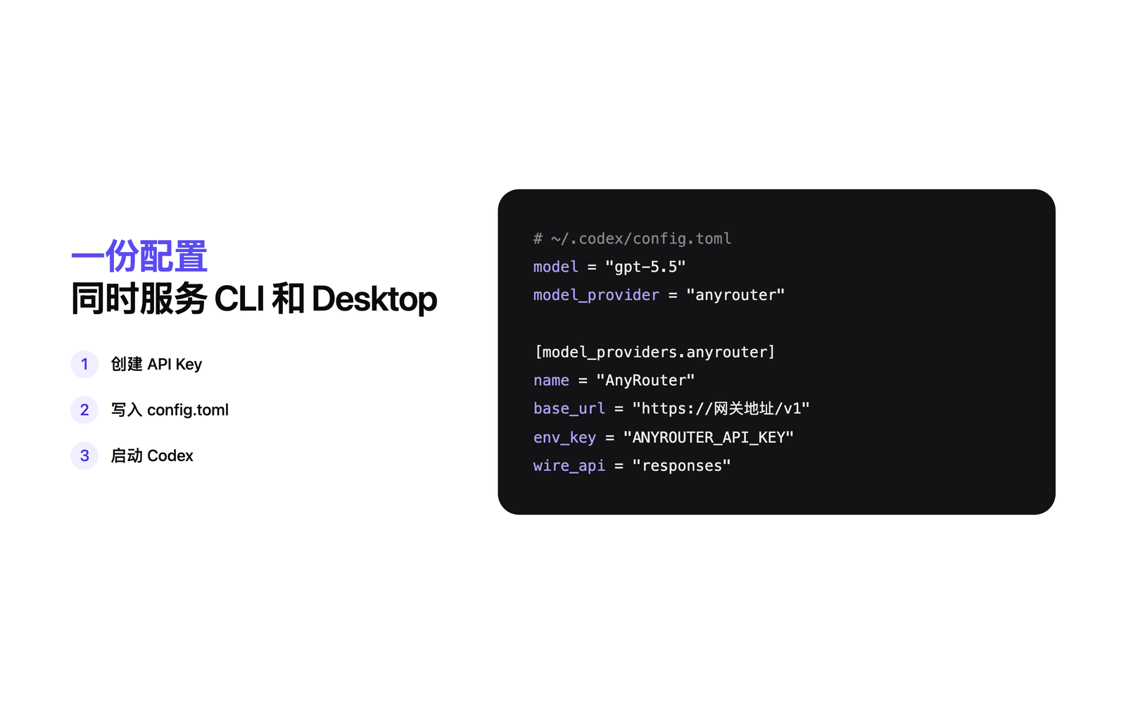 Overview of configuring Codex to use AnyRouter
