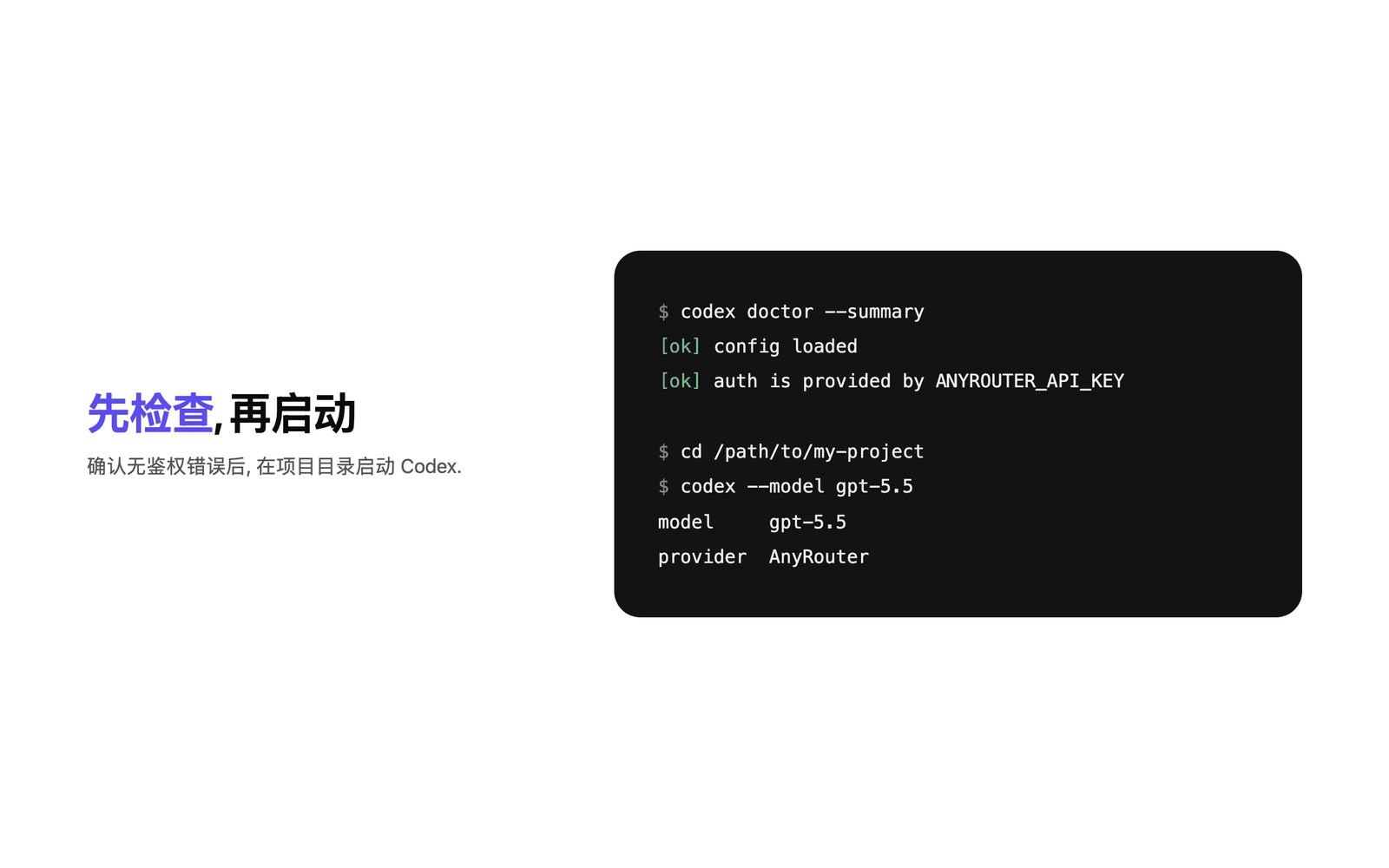 Starting Codex CLI with AnyRouter and checking the configuration